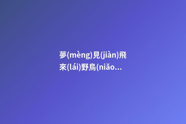 夢(mèng)見(jiàn)飛來(lái)野鳥(niǎo)　周公解夢(mèng)之夢(mèng)到飛來(lái)野鳥(niǎo)